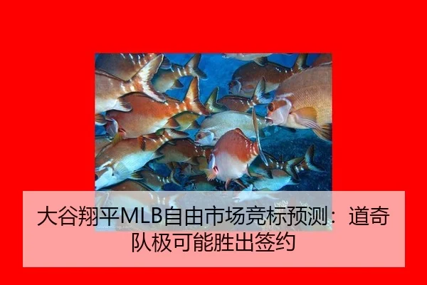 da-gu-xiang-ping-zi-you-shi-chang-jing-biao-yu-ce-dao-qi-dui-ji-ke-neng-sheng-chu-qian-yue-2-487.jpg