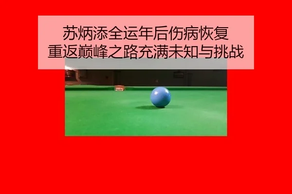 苏炳添全运年后伤病恢复 重返巅峰之路充满未知与挑战