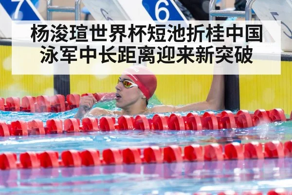 杨浚瑄世界杯短池折桂中国泳军中长距离迎来新突破