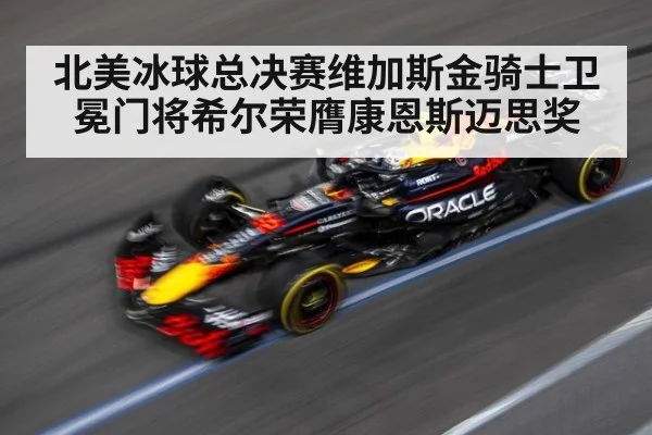 北美冰球总决赛维加斯金骑士卫冕门将希尔荣膺康恩斯迈思奖